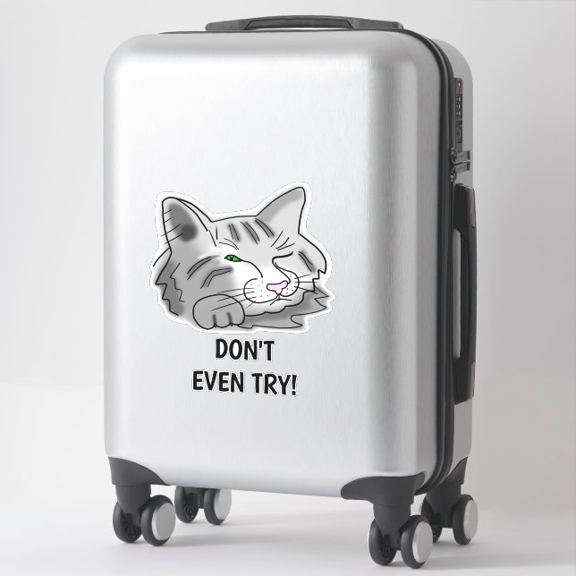 Sticker Chat couché N'essayez même pas! (Sur valise)