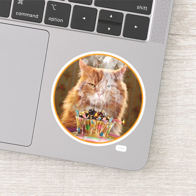 Sticker Chat Cranky Drôle Avec Cupcake D'Anniversaire Fond (Détail)