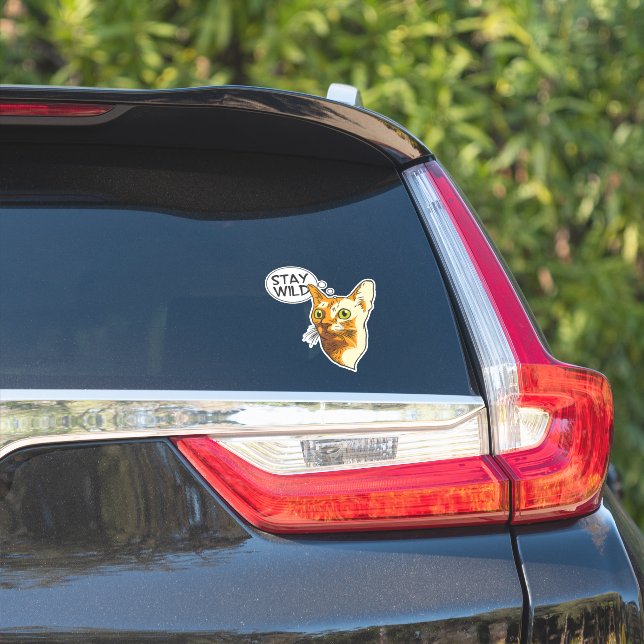 Sticker Chat Drôle Reste Animal Sauvage Animal De Compagni (Côté voiture)