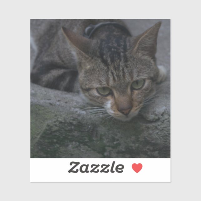 Sticker Chat gris (Feuille)