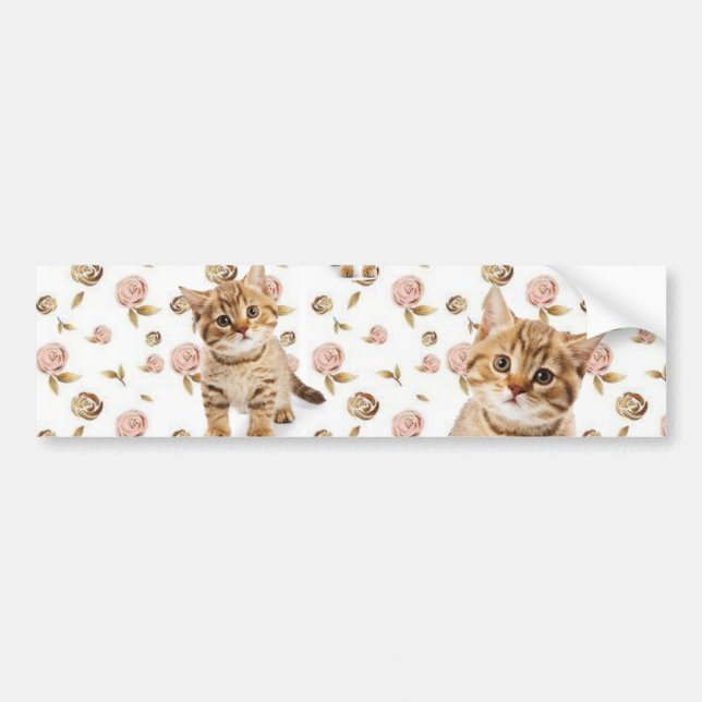 Sticker Chat Kittens Meow (Devant)