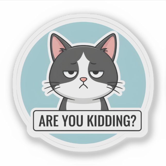 Sticker Chat Mème Grincheux – “Vous plaisantez ?” Drôle de (Devant)