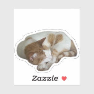 Sticker Chat mignon avec cœur brisé