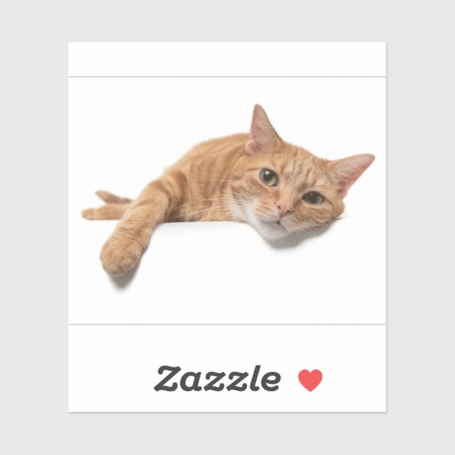 Sticker Chat Orange Posé En Bas (Feuille)