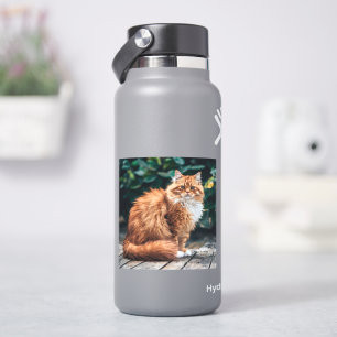 Sticker Chat perse orange