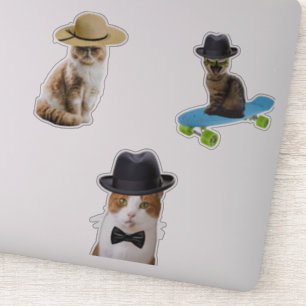 Sticker Chat Portant un Casquette