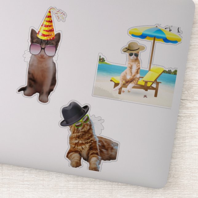 Sticker Chat Sur La Plage (Détail)