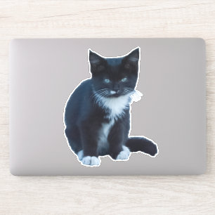 Sticker Chaton noir et blanc de Tuxedo assis et regardant
