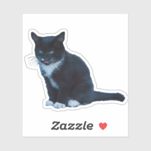 Sticker Chaton noir Tuxedo