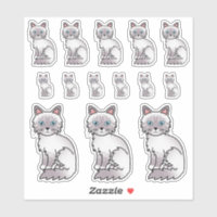 Chats de dessin animé Birman / Ragdoll au pelage t
