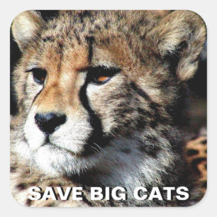Sticker Cheetah
