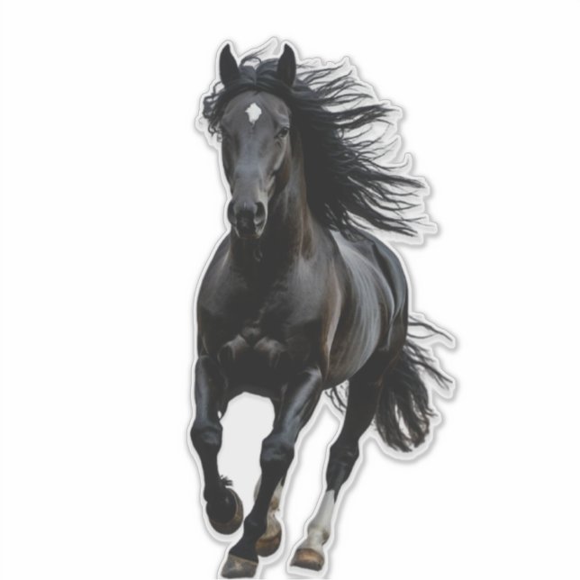 Sticker Cheval noir (Devant)