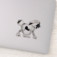 Cheval Pinto Pony