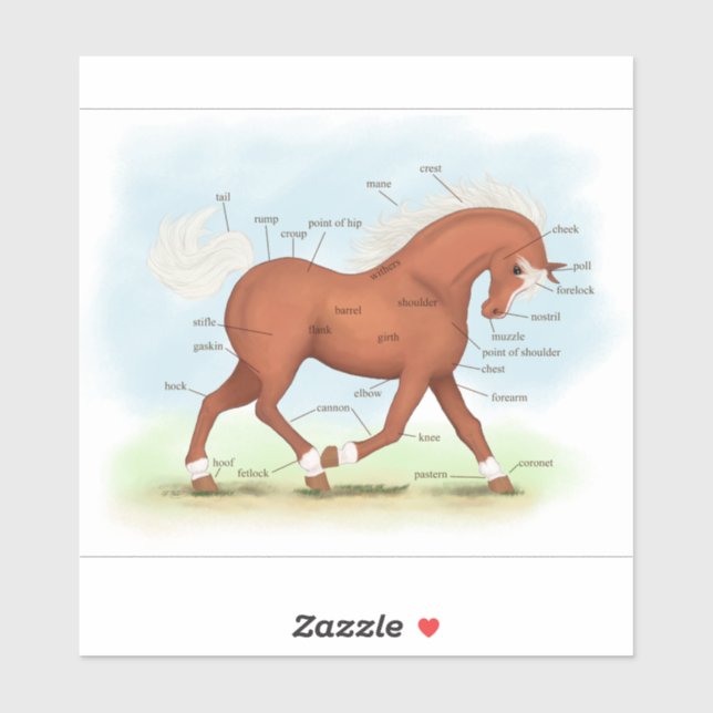 Sticker Cheval Sorrel Avec Pony Pony Equine Anatomie Graph (Feuille)
