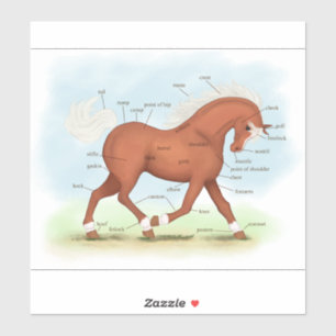 Sticker Cheval Sorrel Trotting Diagramme équestre Sti