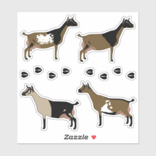 Sticker Chèvre laitière naine nigériane