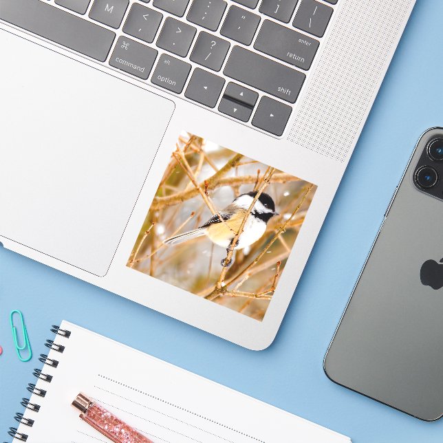 Sticker Chickadee au plafond noir - Photo originale (Ordinateur portable avec iPhone)