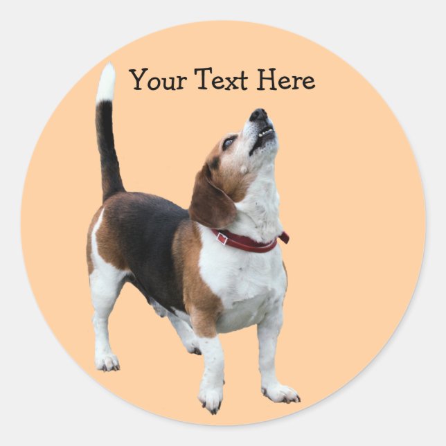 Sticker chien beagle Howt mignon (Devant)