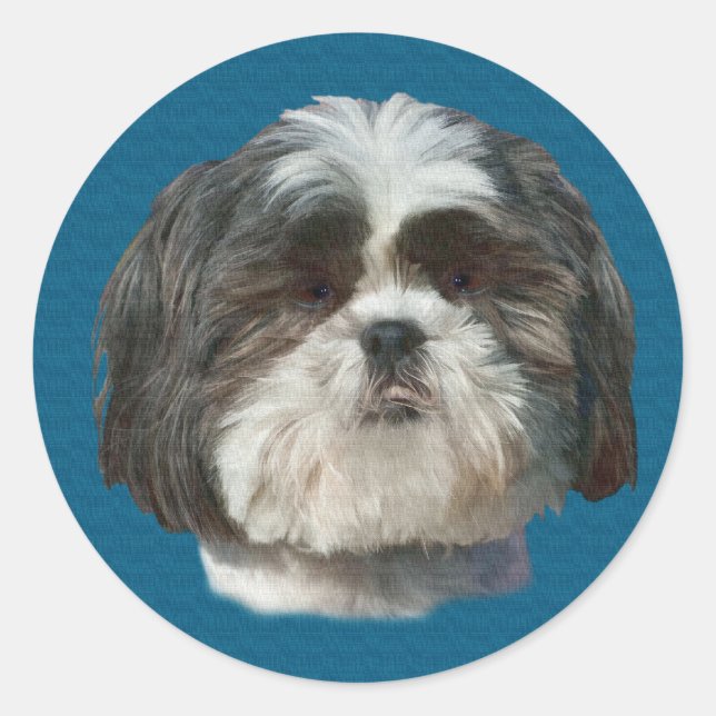 Sticker Chien Chien Shih Tzu (Devant)