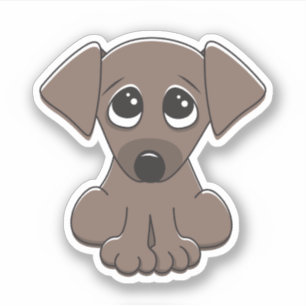 Sticker Chien chiot mignon avec de grands yeux mendiants