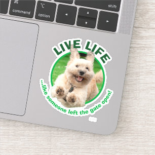 Sticker Chien Courant Dans Le Jardin