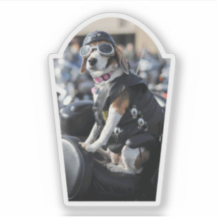 Sticker Chien drôle sur moto avec lunettes de gilet photo