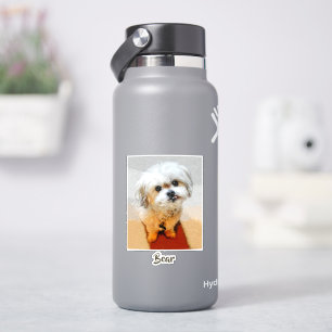 Sticker Chien Malshi