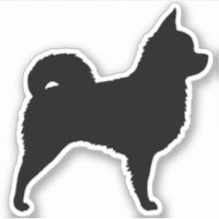Chihuahua chou chéri Silhouette race chien