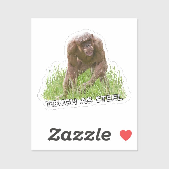 Sticker Chimie Sans Cheveux Dur En Acier (Feuille)