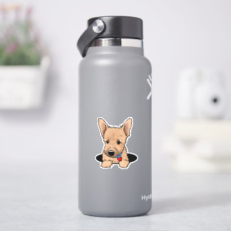 Sticker chiot terrier de Norwich