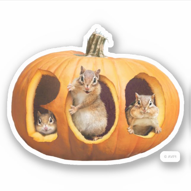 Sticker Chipmunks à l'intérieur de Boo Jack-o-Lantern (Devant)