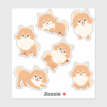 Chipons Poméraniens mignons