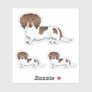 Sticker Chocolat Et Tan Piebald Cheveux Longues Chiens