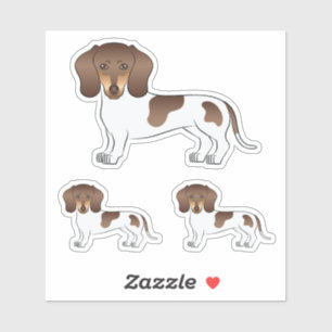 Sticker Chocolat & Tan Pied Cheveux Courte Dachshund Chien