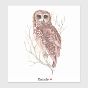 Sticker Chouette d'aquarelle Faune Oiseau Nature Art