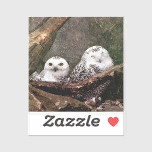 Sticker Chouette Harfang Couple Art Bois Faune