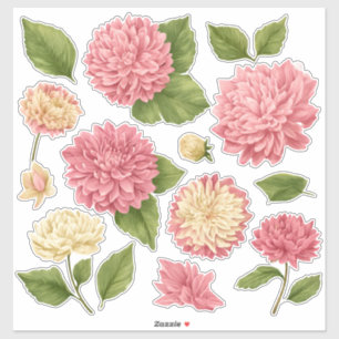 Sticker Chrysanthème Crème de Pêche Vinyle Personnalisé