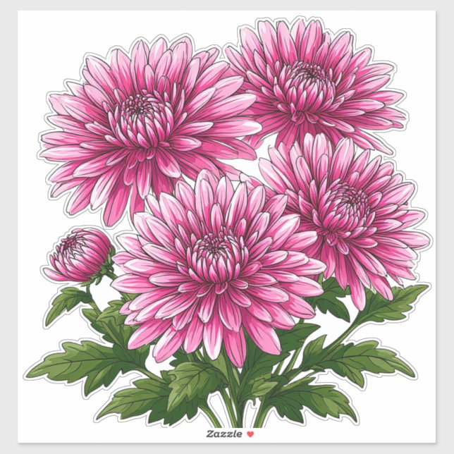 Sticker Chrysanthèmes roses vibrants en fleurs (Feuille)