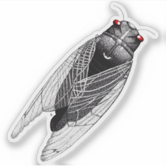 Sticker Cicada
