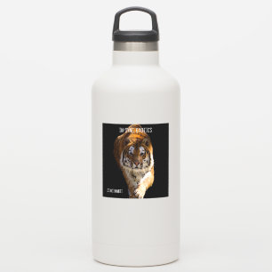 Sticker Cincinnati Tiger -