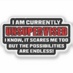 Sticker Citation drôle et sarcastique actuellement sans su