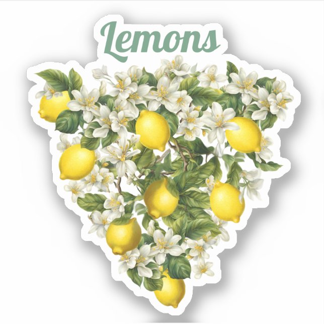 Sticker Citrons (Devant)