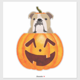 Sticker Citrouille Bulldog