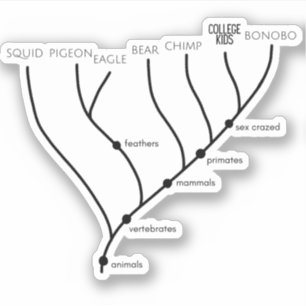 Sticker Cladogramme argenté 3" x 3" Cartouches de vinyle