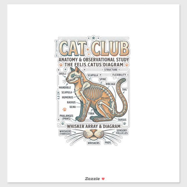 Sticker Club Chat Anatomie du Chat Diagramme Scientifique  (Feuille)