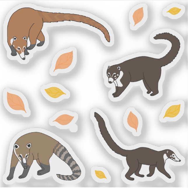 Sticker Coatis (Devant)