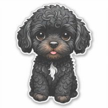 Cockapoo noir