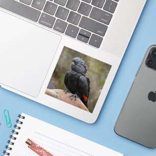 Sticker Cockatoo noir