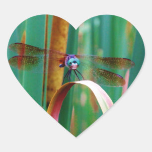 Sticker Cœur A teal Eyed Dragonfly with cattails