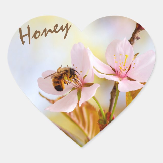 Sticker Cœur Abeille Sur Une Fleur De Cerise (Devant)